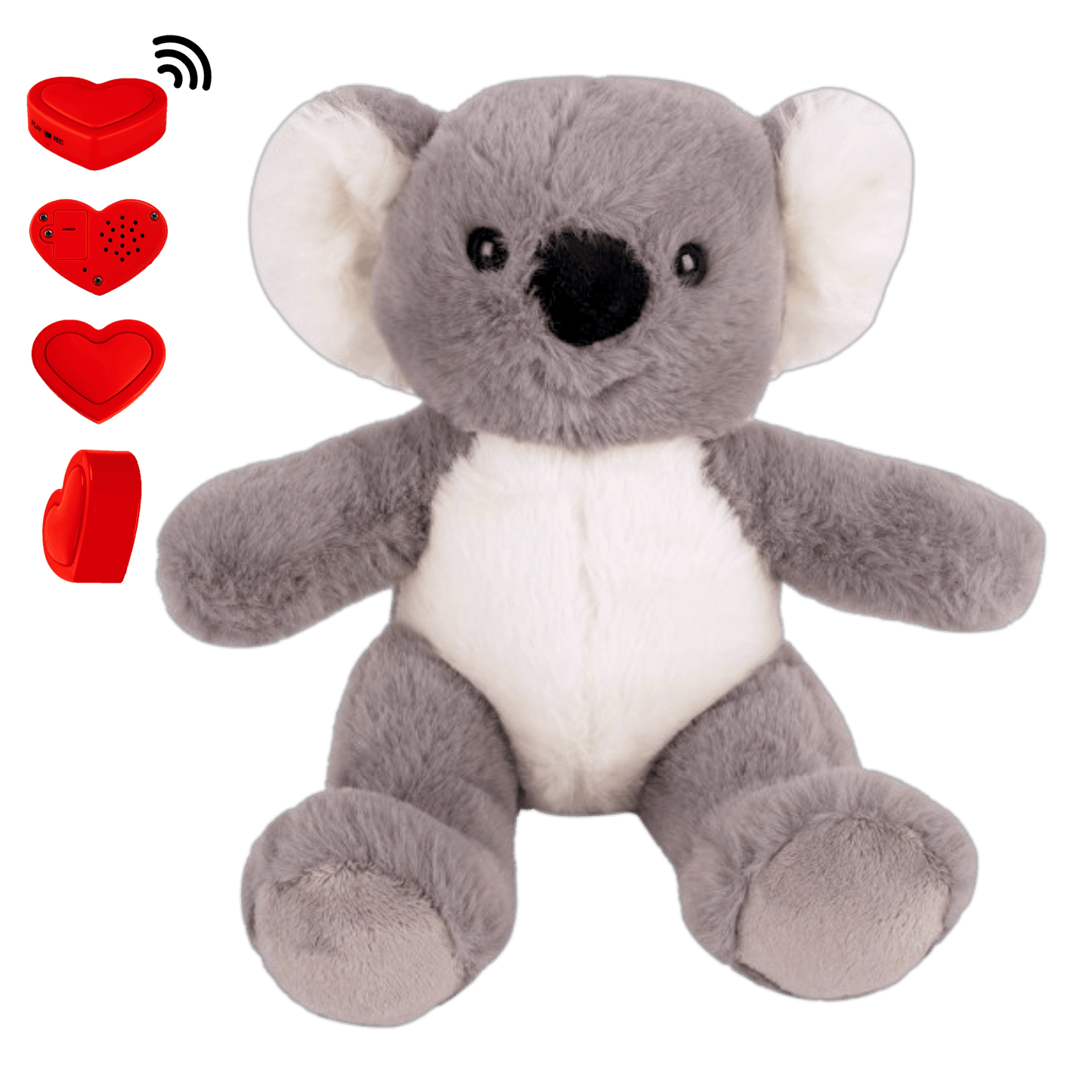 Knuffel Koala met Stemopname β Gepersonaliseerd Cadeau | The Hugify