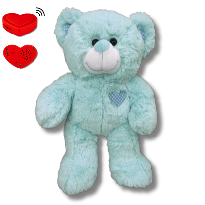 Blauwe Knuffelbeer met Stemopname – Gepersonaliseerde Teddybeer