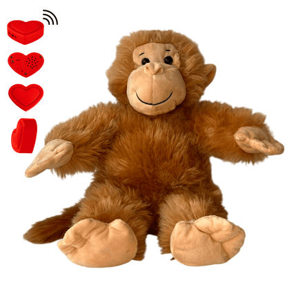 Knuffel Aap met eigen spraakopname - The Hugify