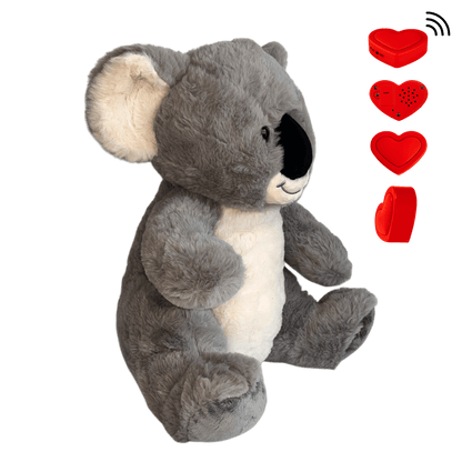 Knuffel Koala maak indruk met een ingesproken bericht - The Hugify