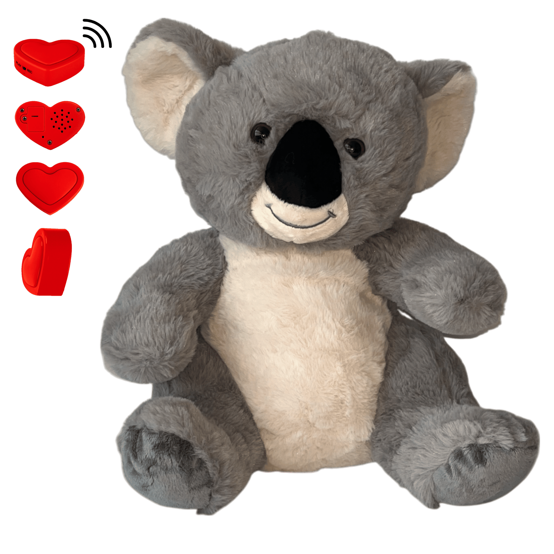 Knuffel Koala maak indruk met een ingesproken bericht - The Hugify