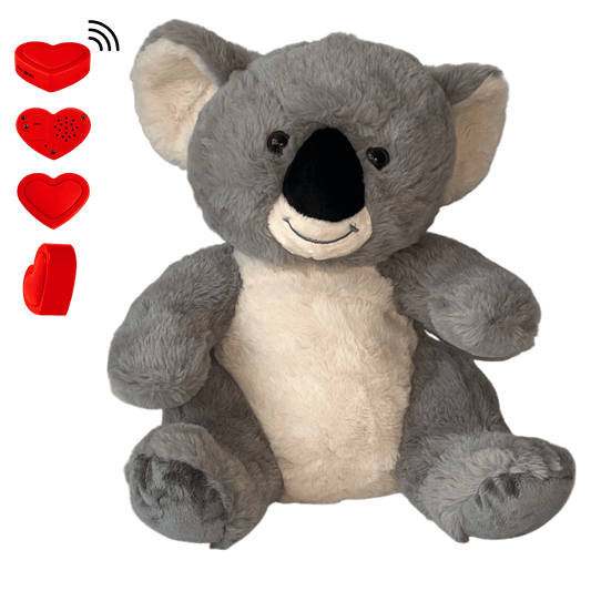 Knuffel Koala maak indruk met een ingesproken bericht - The Hugify