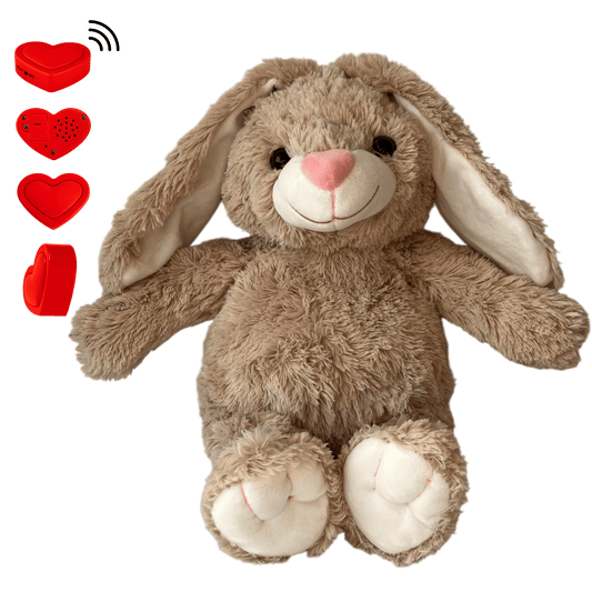Knuffel Konijn met ingesproken bericht - The Hugify