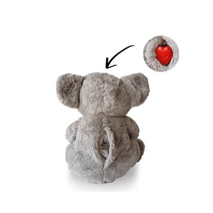 Knuffelbeer Love Roze - Met voicerecorder